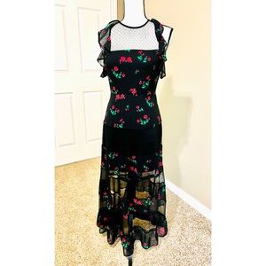 EXPRESS Maxi Dress with sheer panel Size 2